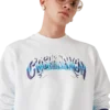 Blauw vervaagd sweatshirt