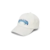 Blue Fade-pet Blue Fade-pet