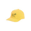 Citrus Tennis Club Icon-pet