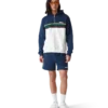 Hoodie met kwartrits en kleurblokken