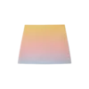 Ping Pong Gradient zijden rok